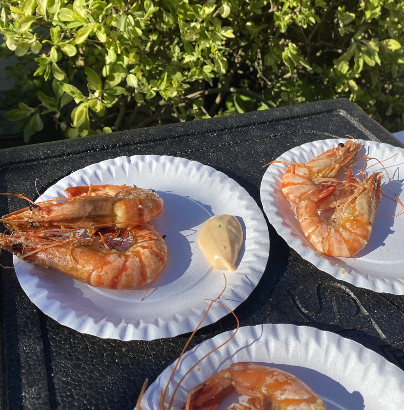 barbecue vis